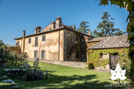 Consorzio Vini Cortona 