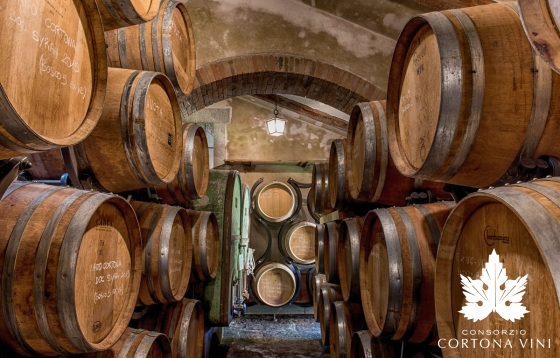 Consorzio Vini Cortona 