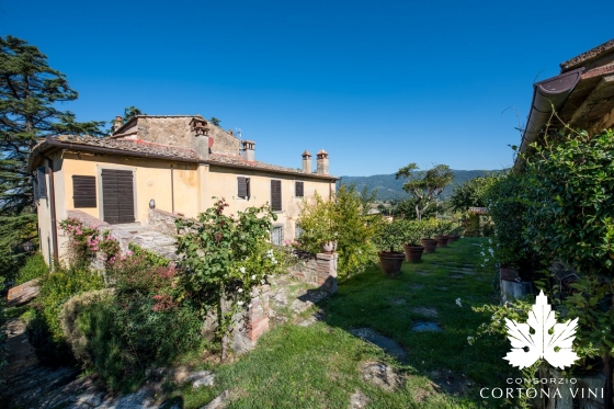 Consorzio Vini Cortona 